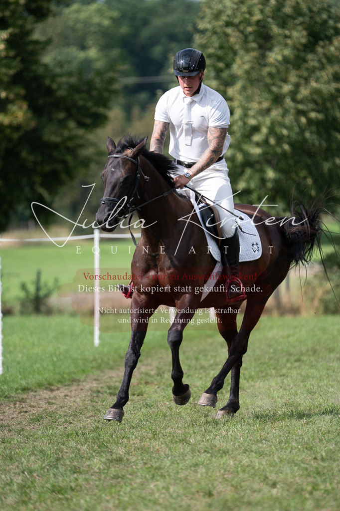 DSC_1001 | Pferde- und Turnierfotografie in Westsachsen. Pferdeportraits, Auftragszeichnungen und intuitive Kunst.