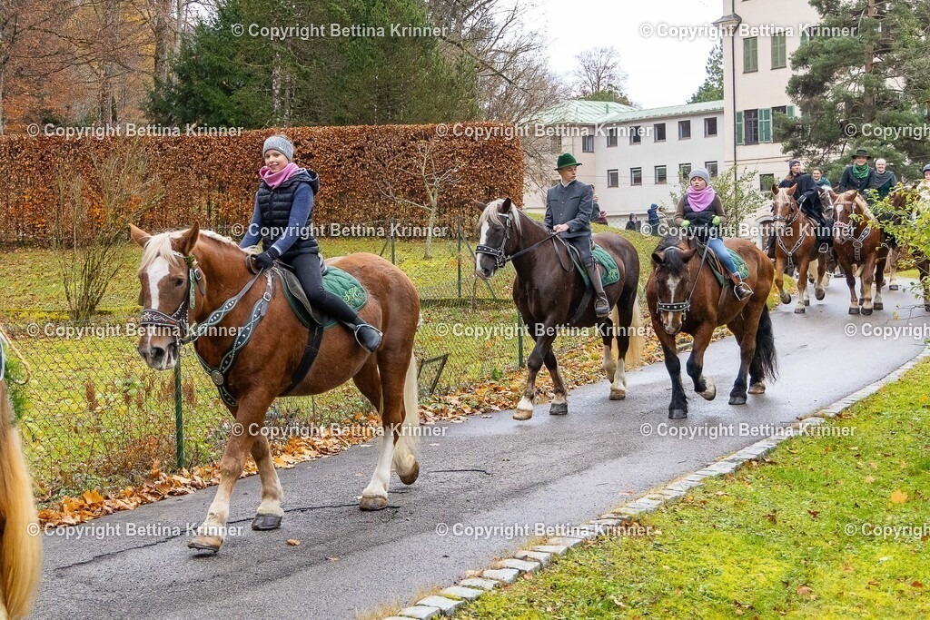 LL25-113 | foto-bettina-krinner - Realisiert mit Pictrs.com