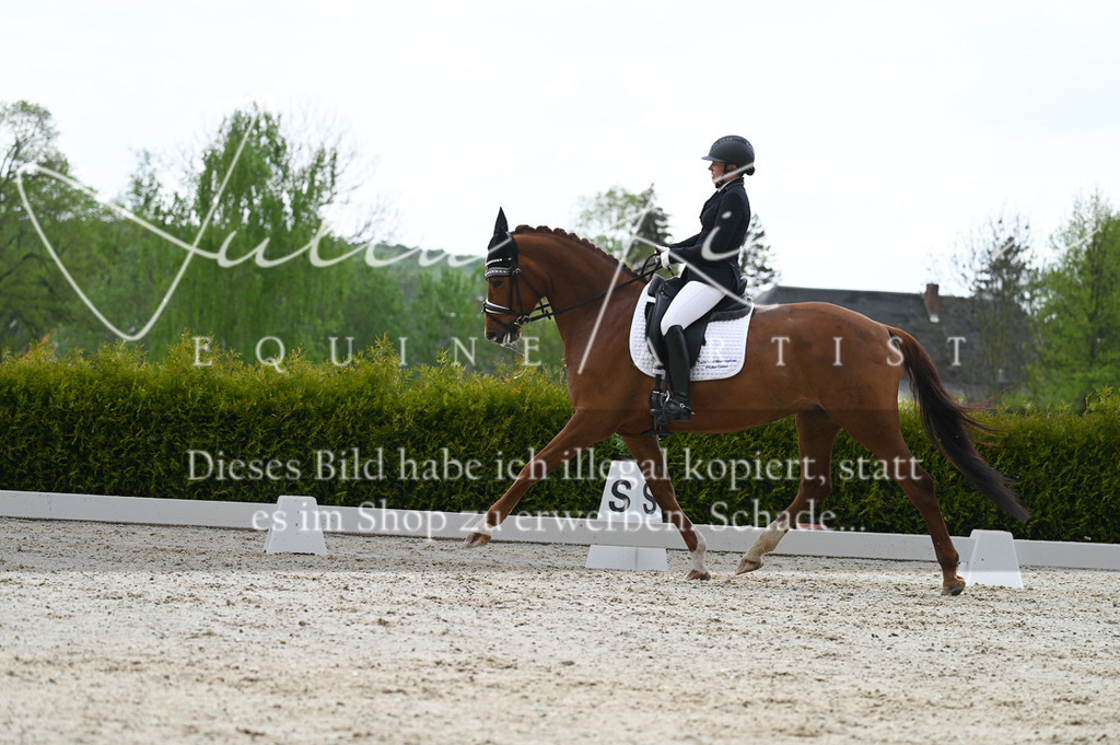 20230512_JK-Röhrsdorf-03-084 | Pferde- und Turnierfotografie in Westsachsen. Pferdeportraits, Auftragszeichnungen und intuitive Kunst.