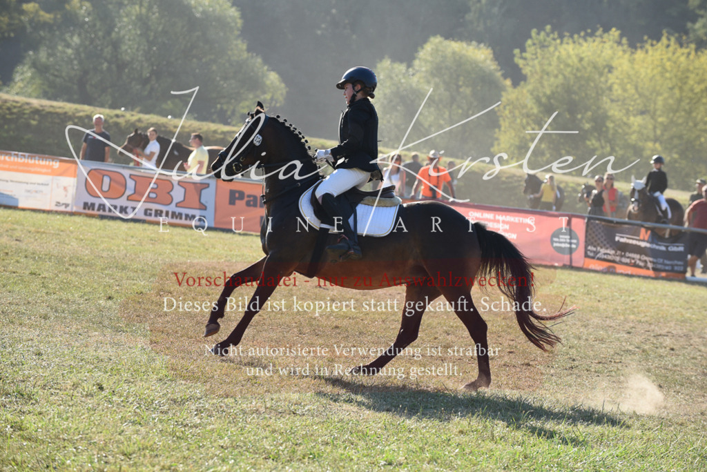 DSC_5613 | Pferde- und Turnierfotografie in Westsachsen. Pferdeportraits, Auftragszeichnungen und intuitive Kunst.