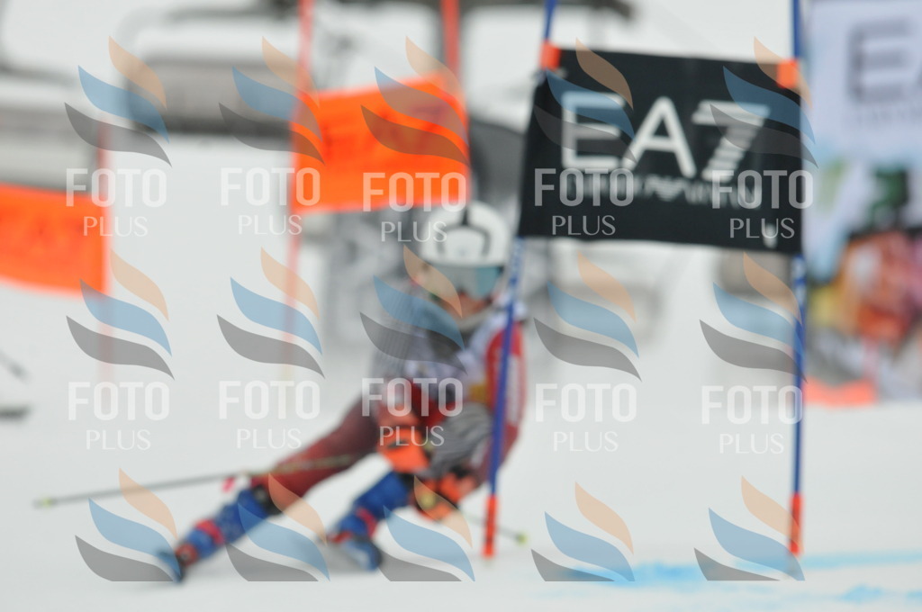 DSC_8346 | holidayphoto