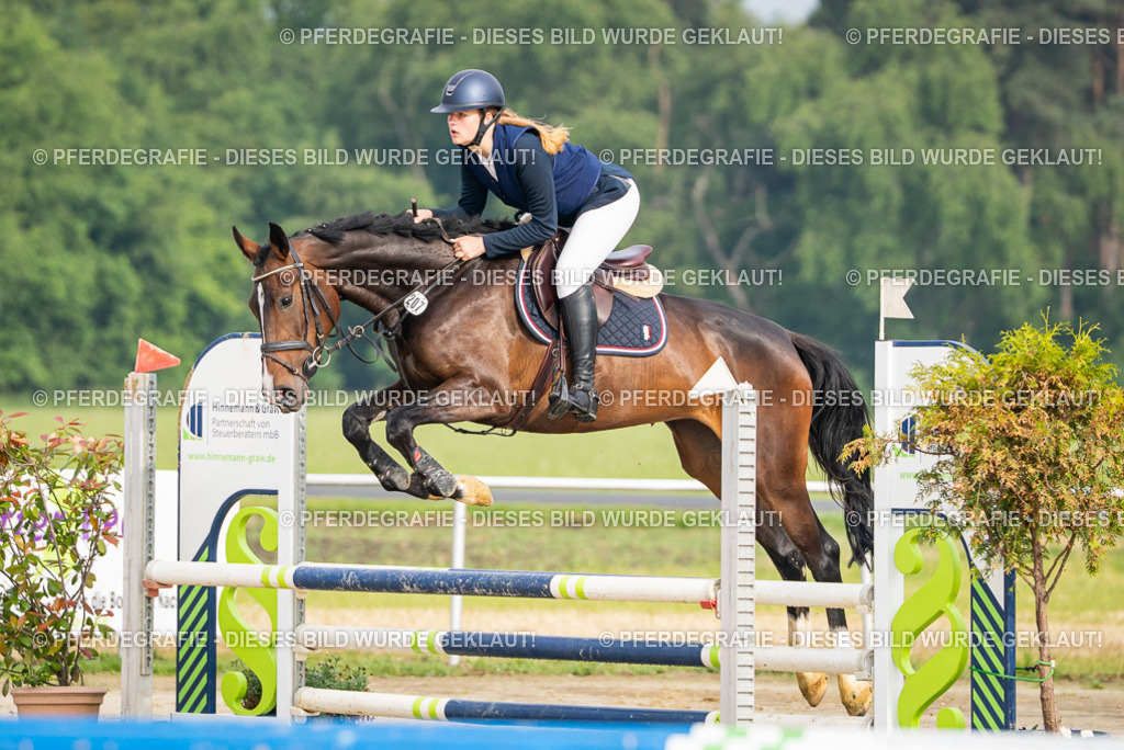 DSC08267 | Pferdegrafie