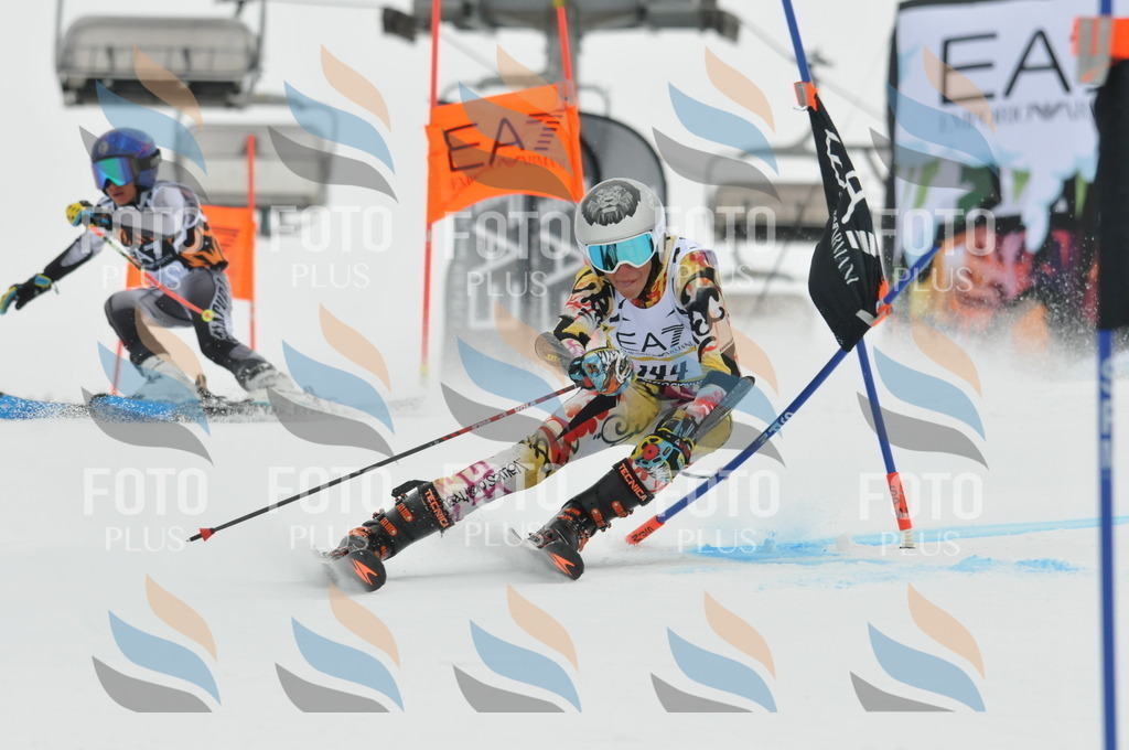 DSC_8393 | holidayphoto