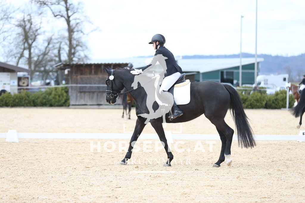 AS8V1415 | Willkommen bei Brunnmayr - Design & Fotografie – Ihrem Spezialisten für Reitturniere und Pferdeveranstaltungen in Oberösterreich, Salzburg und Bayern! Seit über 17 Jahren sind wir leidenschaftlich dabei.