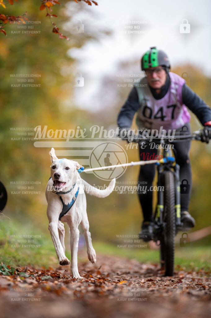 DBT_DAKM_SA_4_11_2023_Bike-76 | PayLife