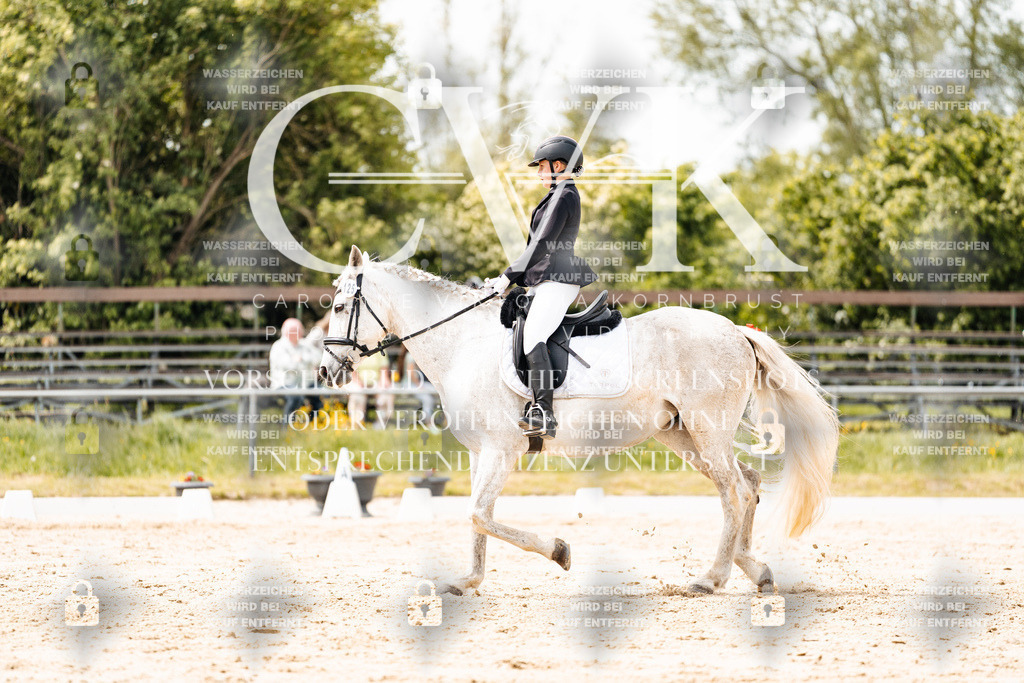CK902471 | Turnierfotografie Pferdefotografie Trier Rheinland-Pfalz Pferdesport Reitsport Tierfotografie Sportfotografie Pferdevideo Pferdevideografie Equestrianvideography equestrianphotography  - Realisiert mit Pictrs.com