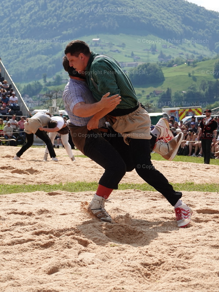 DSC06766 | Schwingen - Realisiert mit Pictrs.com