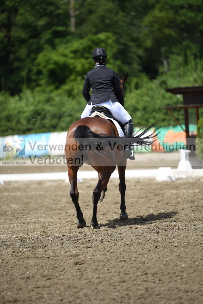 DSC_0512 | equestrian-live-com