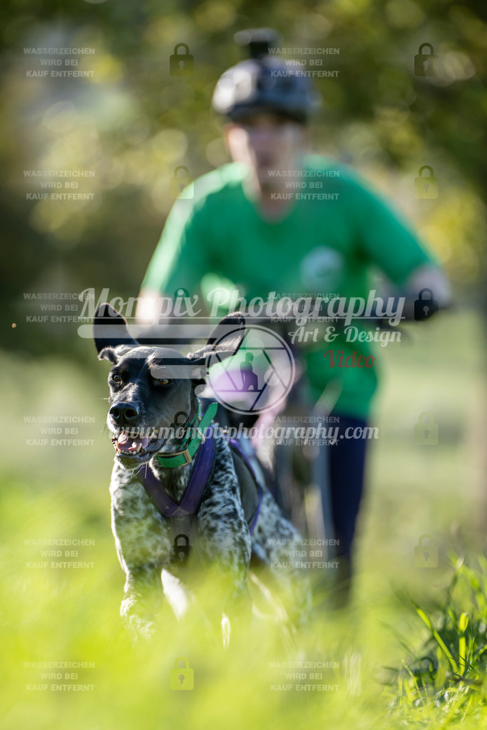 MompixPhotography_20TSB_E3_DS2-18 | PayLife