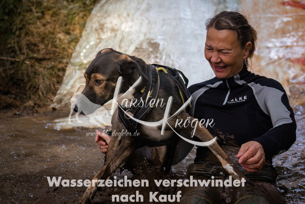 1050_ZZ94698 | kk-dogfotos