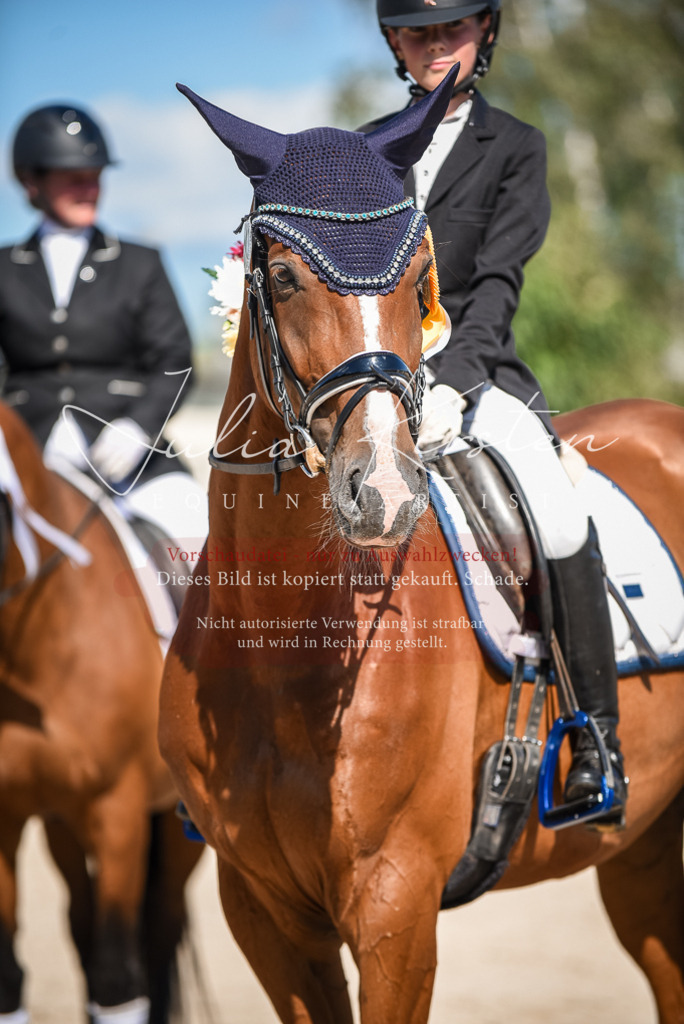 DSC_9735 | Pferde- und Turnierfotografie in Westsachsen. Pferdeportraits, Auftragszeichnungen und intuitive Kunst.