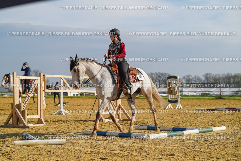 DSC00867 | Pferdegrafie