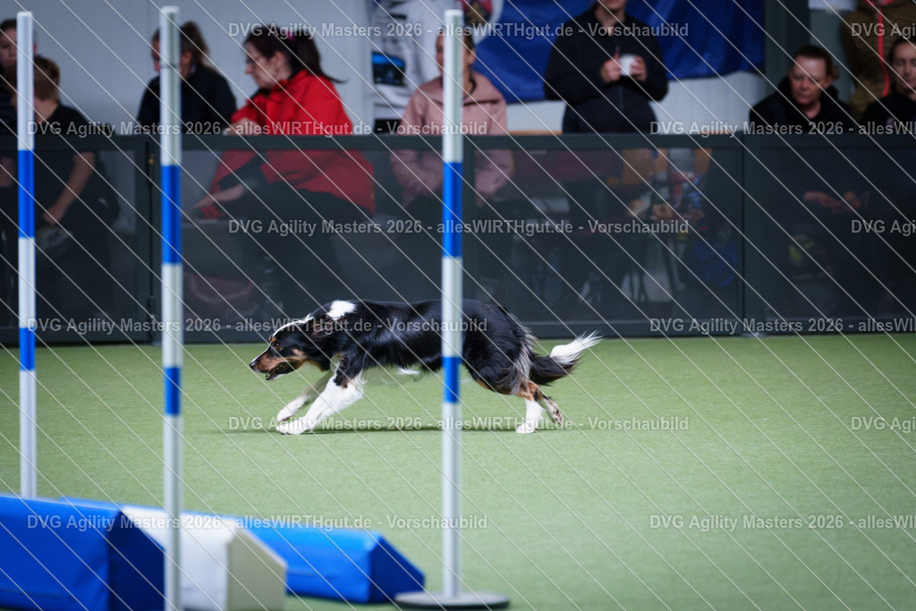 allesWIRTHgut_Tierfotografie-DVG_Agility_Masters_2026-12_32-7R502525 | Professionelle Tierfotografie in Mönchengladbach von Daniel Wirth (allesWIRTHgut). Liebevolle & natürliche Bilder von Hunden & Katzen für unvergessliche Erinnerungen.