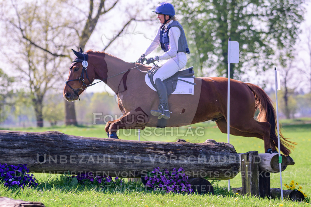 18042026-Gernlinden-03-0222 | Fokus Hufschlag Fotografie - Realisiert mit Pictrs.com