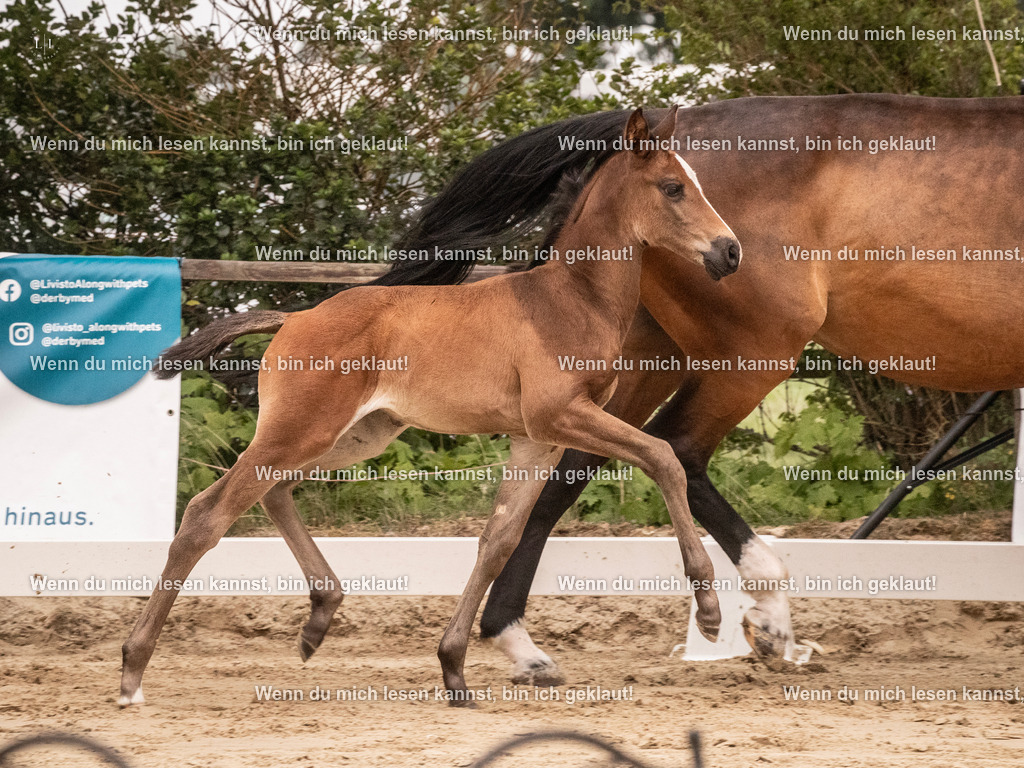 A10I3734 15.58.10 | photographylinaismer - Realisiert mit Pictrs.com