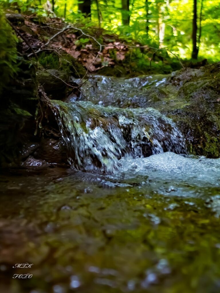 PSX_20210612_215133 | mtkfoto_ - Realisiert mit Pictrs.com