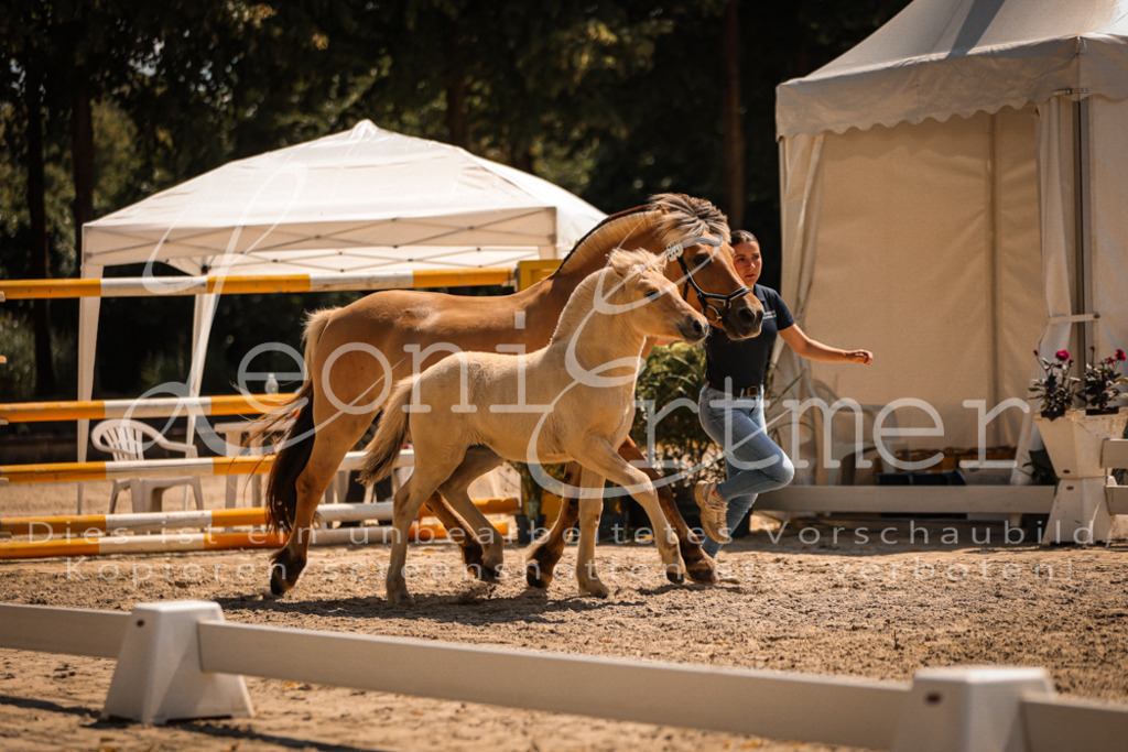 05.DoF00021 | Leoni Ertmer Photography - Realisiert mit Pictrs.com