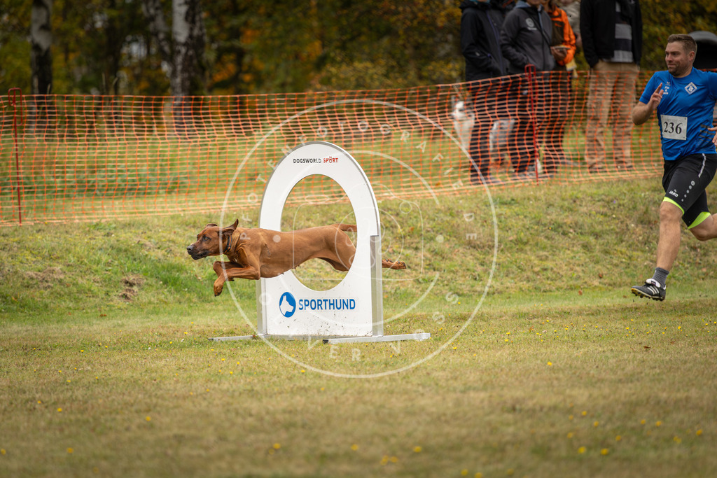 Pfotenfotografie_DV3A5727 | Hundefotografie, Tierfotograf, Pfotenfotografie, Fotoshooting Hund, Hunde Portrait, Hundesport, Hundeportraits, Heideshooting, Hunde, Sportfotograf, Hundefotograf, Turnierhundsport, THS,  - Realisiert mit Pictrs.com