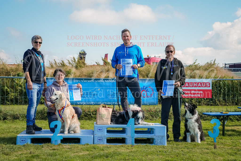 20250928_Hunderennen-777 | MuT (Mensch und Tier) mit Mona - Fotografie und Tierkommunikation - Realisiert mit Pictrs.com