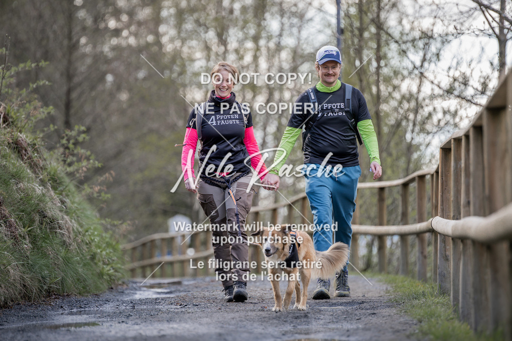 NR__0645 | nelerasche
