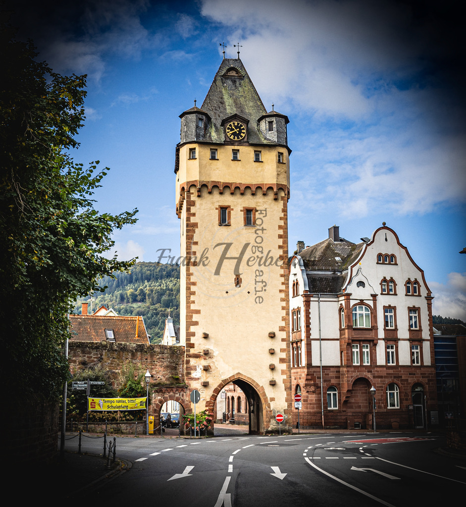 Miltenberg am Main | Miltenberg, Kreisstadt, Unterfranken,Mainknie, Odenwald,Spessart, Limes, Mildenburg, Main - Realisiert mit Pictrs.com