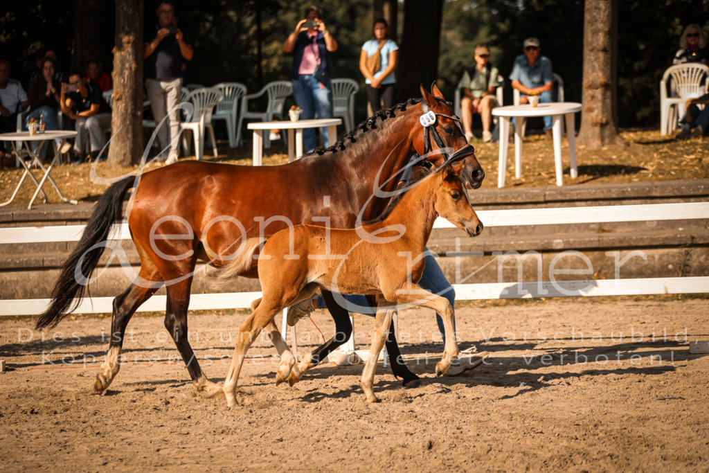 11.DoRP00168 | Leoni Ertmer Photography - Realisiert mit Pictrs.com