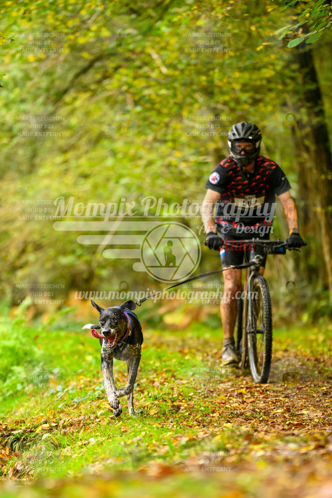MompixPhotography_20TSB_E1_Doppel-38 | PayLife