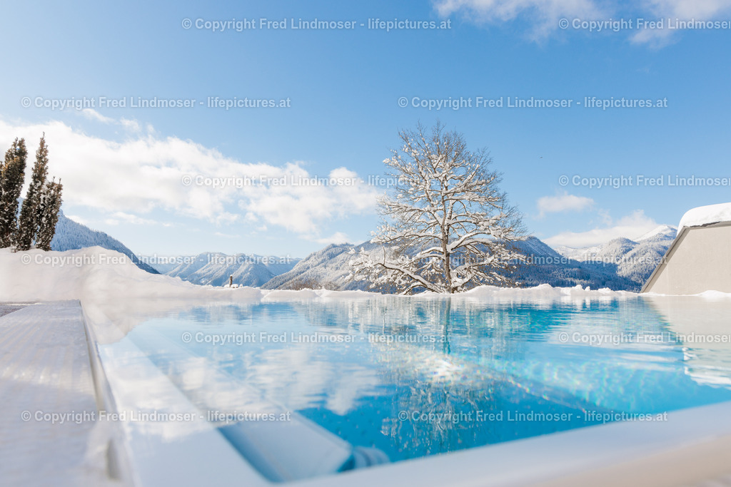 Montestyria 29012023-3960 | Fotos und Fotoprodukte - Realisiert mit Pictrs.com