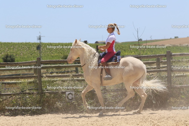 4K8A7108 | Fotografie, Tiere, Hunde, Katzen, Pferde, Sportfotografie, Fotosession, Tierfotografie, Turnierfotografie, Fotografin, Fotograf - Realisiert mit Pictrs.com