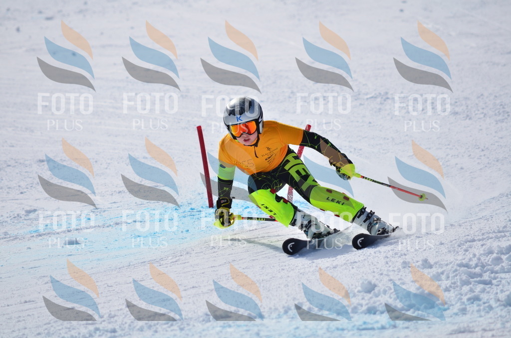 C9813 | holidayphoto