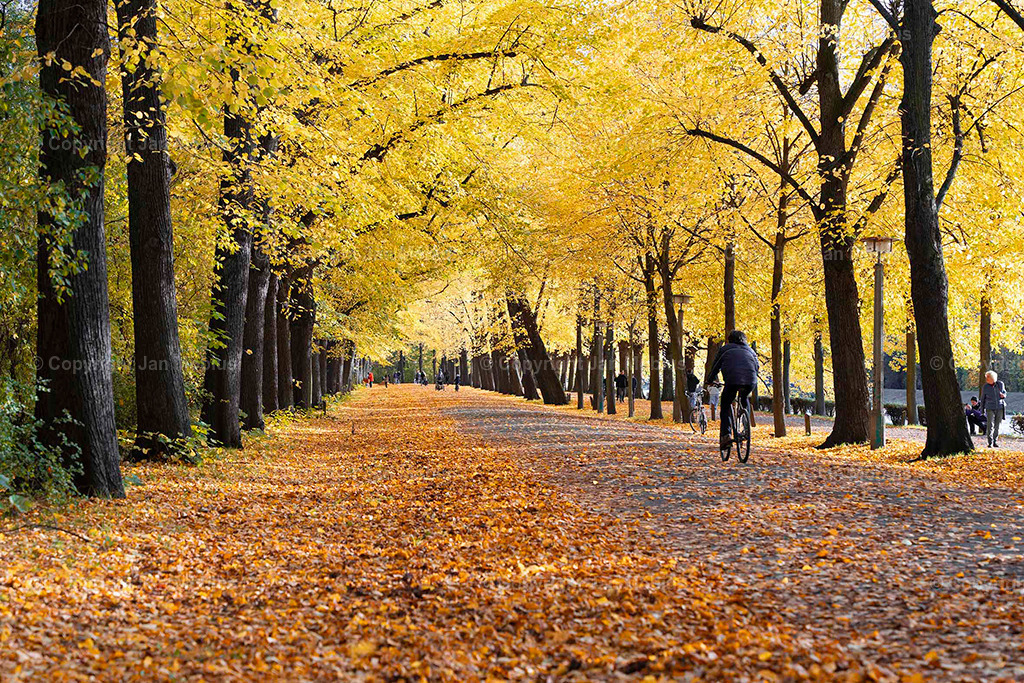 Clara Park | Der Clara-Zetkin-Park in Leipzig ist ein beliebter Ort für Natur, Sport und Erholung – perfekt für Spaziergänge, Jogging und entspannte Stunden im Grünen. - Realisiert mit Pictrs.com