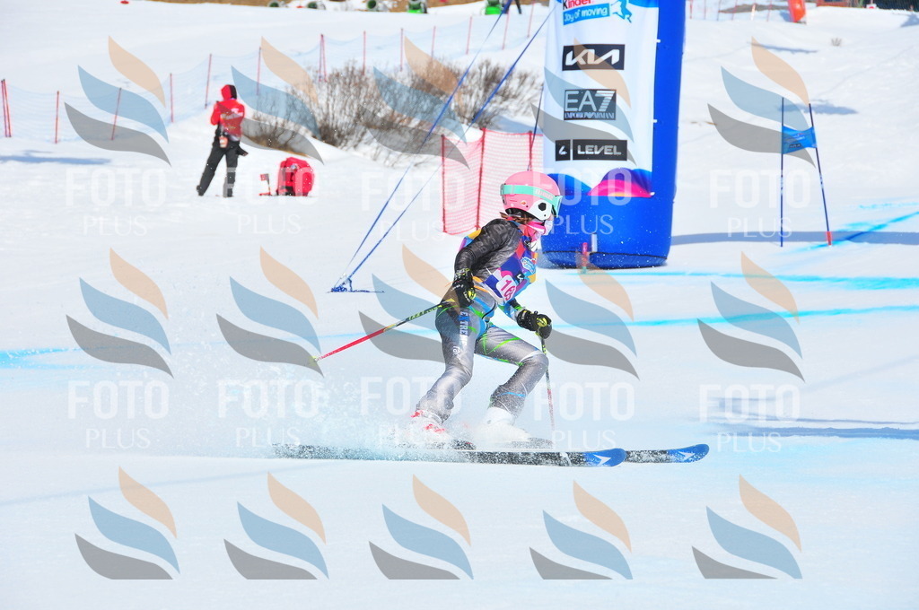 DSC_5238 | holidayphoto