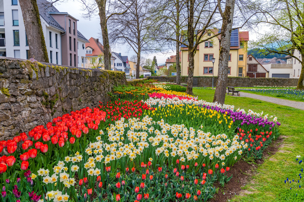 fruehling_110425-71 | <div id="allefotografen-seal-verified-green"></div><script src="https://www.allefotografen.de/956728/seal-verified-green/seal.js" async="async"></script> - Realisiert mit Pictrs.com