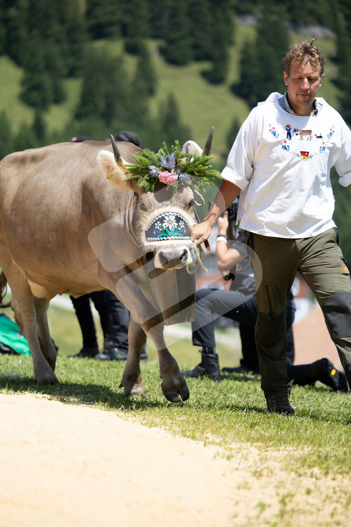 Rigi2025_2061 | Die Schwinger des Schwyzer Kantonalen Schwingerverbandes: Fotos, die Dynamik und Leidenschaft festhalten, sowie emotionale Momente aus dem traditionellen Schwingsport zeigen. - Realisiert mit Pictrs.com