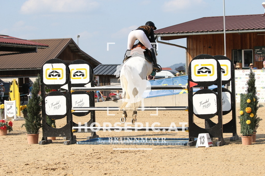 DL2Q8662 | Willkommen bei Brunnmayr - Design & Fotografie – Ihrem Spezialisten für Reitturniere und Pferdeveranstaltungen in Oberösterreich, Salzburg und Bayern! Seit über 17 Jahren sind wir leidenschaftlich dabei.