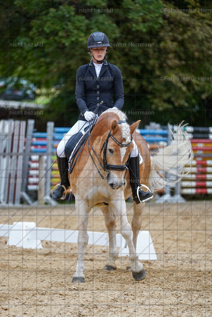 20231007-SN_00817 | Professionelle Turnier- und Reitsportfotografie - mit dem Finger am Auslöser. Pferdebilder aus dem Reitsport von den Turnierfotografen  Bayern , Pferdefotograf Bayern, Pferdeshooting Turnierbilder, Hochzeitsfotograf, Eventfotograf, Hochzeitsbilder