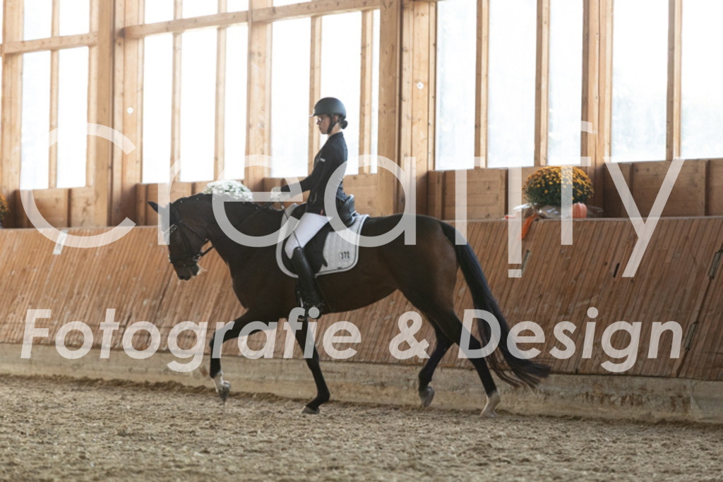 IMG_4011 | Creatify Fotografie