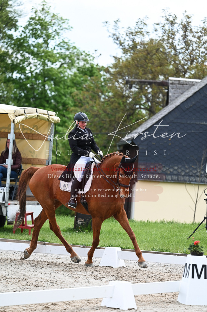 20230513_JK-Röhrsdorf-12-210 | Pferde- und Turnierfotografie in Westsachsen. Pferdeportraits, Auftragszeichnungen und intuitive Kunst.