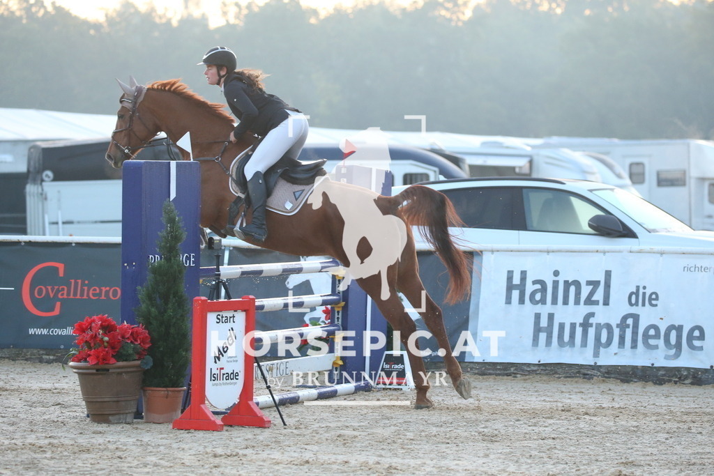 DL2Q0085 | Willkommen bei Brunnmayr - Design & Fotografie – Ihrem Spezialisten für Reitturniere und Pferdeveranstaltungen in Oberösterreich, Salzburg und Bayern! Seit über 17 Jahren sind wir leidenschaftlich dabei.