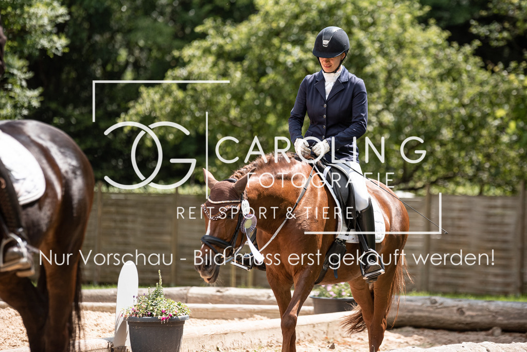 DSC_8444 | Turnierfotografin Carolin Gieschke, Turnierfotografie Carolin G Fotografie, Turnierfotos Kirchheim/Teck, Esslingen, Stuttgart, Bodenseekreis
