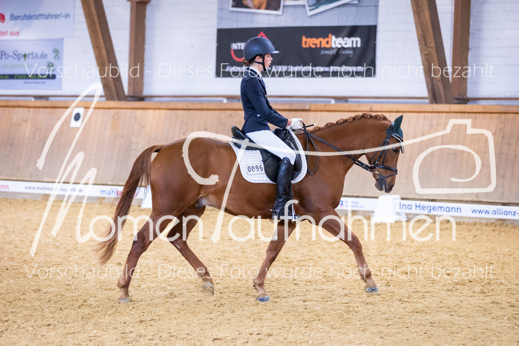 Sth-A-Dre-1St-294 | MomenTaufnahmen Pferdesportfotos