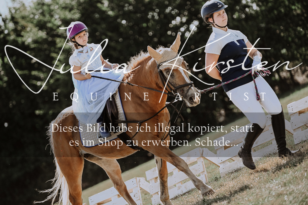 DSC_8921 | Pferde- und Turnierfotografie in Westsachsen. Pferdeportraits, Auftragszeichnungen und intuitive Kunst.