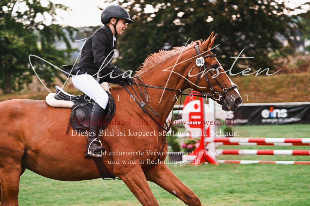 DSC_5859 | Pferde- und Turnierfotografie in Westsachsen. Pferdeportraits, Auftragszeichnungen und intuitive Kunst.