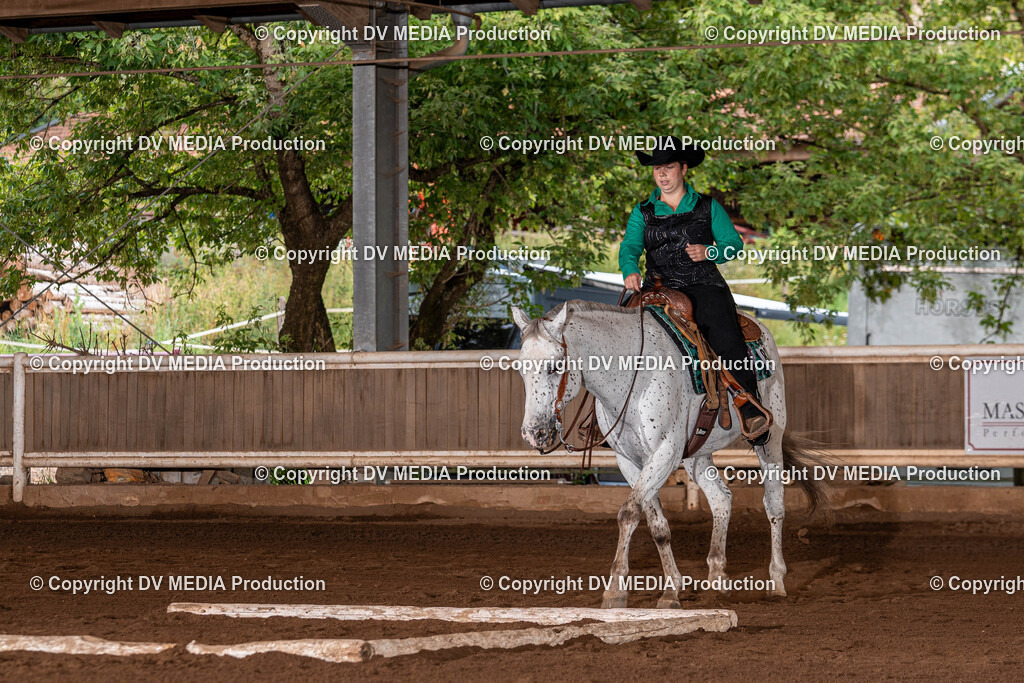 Erbach Tag 2-134 | dv-media-shop - Realisiert mit Pictrs.com