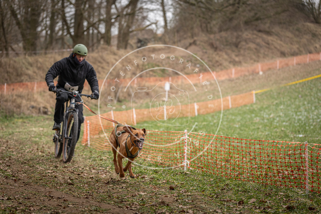 Pfotenfotografie_DV3A6827 | Hundefotografie, Tierfotograf, Pfotenfotografie, Fotoshooting Hund, Hunde Portrait, Hundesport, Hundeportraits, Heideshooting, Hunde, Sportfotograf, Hundefotograf, Turnierhundsport, THS,  - Realisiert mit Pictrs.com
