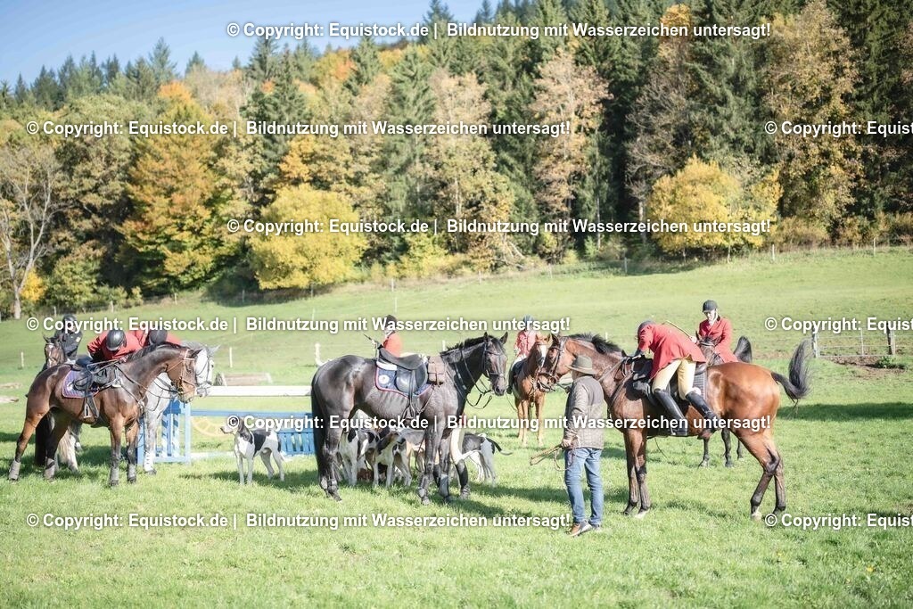 20251011_Jagd-Marbach_0655 | Foto: Thomas Hartig