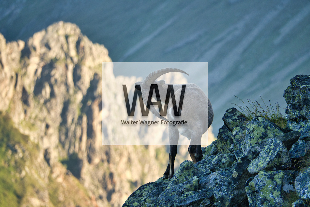 WWW08979 | walter-wagner-fotografie