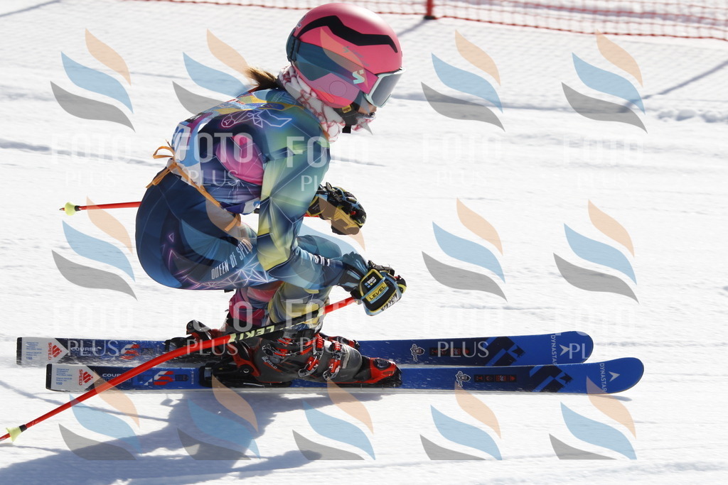 _U3G8865 | holidayphoto