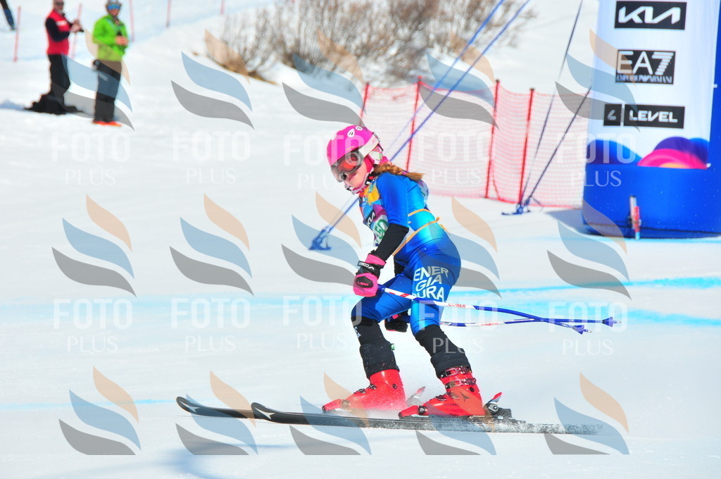 DSC_1306 | holidayphoto