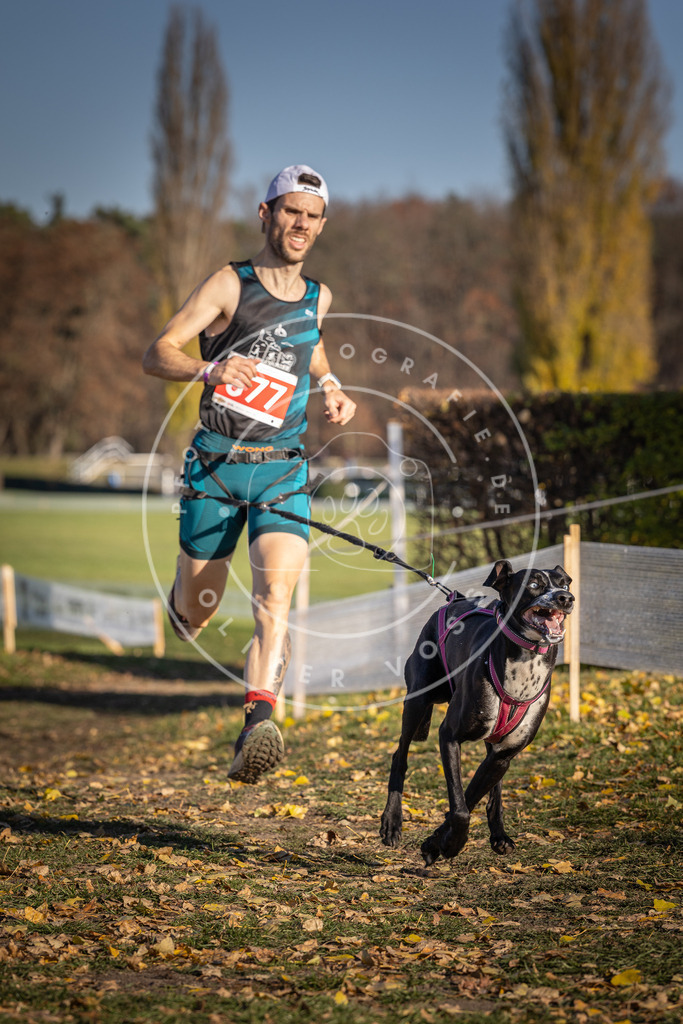 CaniXpix_DV3A0991 | Hundefotografie, Tierfotograf, Pfotenfotografie, Fotoshooting Hund, Hunde Portrait, Hundesport, Hundeportraits, Heideshooting, Hunde, Sportfotograf, Hundefotograf, Turnierhundsport, THS,  - Realisiert mit Pictrs.com